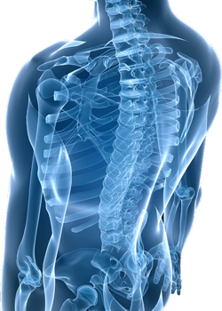 Back Pain Due To Pelvic Imbalance Back Pain Due To Pelvic Imbalance