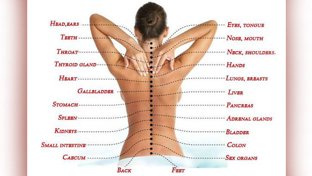 Demystifying Chiropractic Medicine Demystifying Chiropractic Medicine