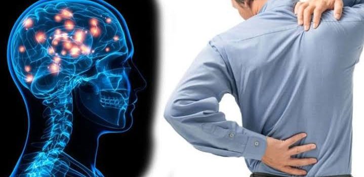 Back Pain in the Back of your Mind