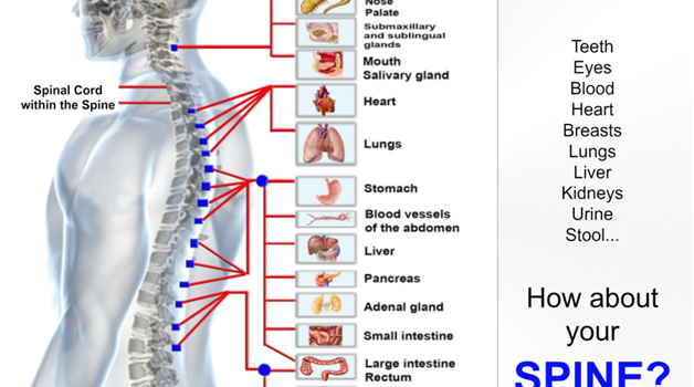 Demystifying Chiropractic Medicine